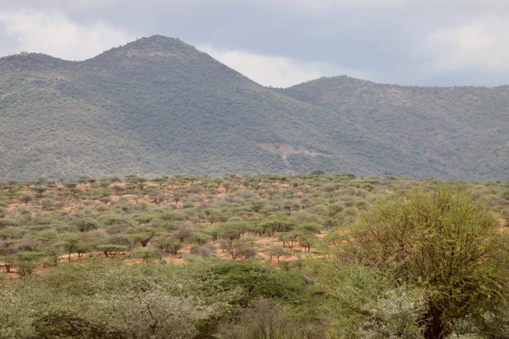 Arid lowlands stretching toward the Mathews Range mountains under open sky